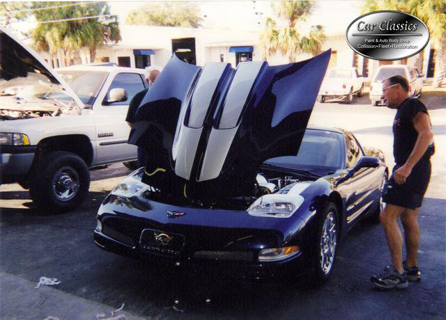 Corvettes – photo 6